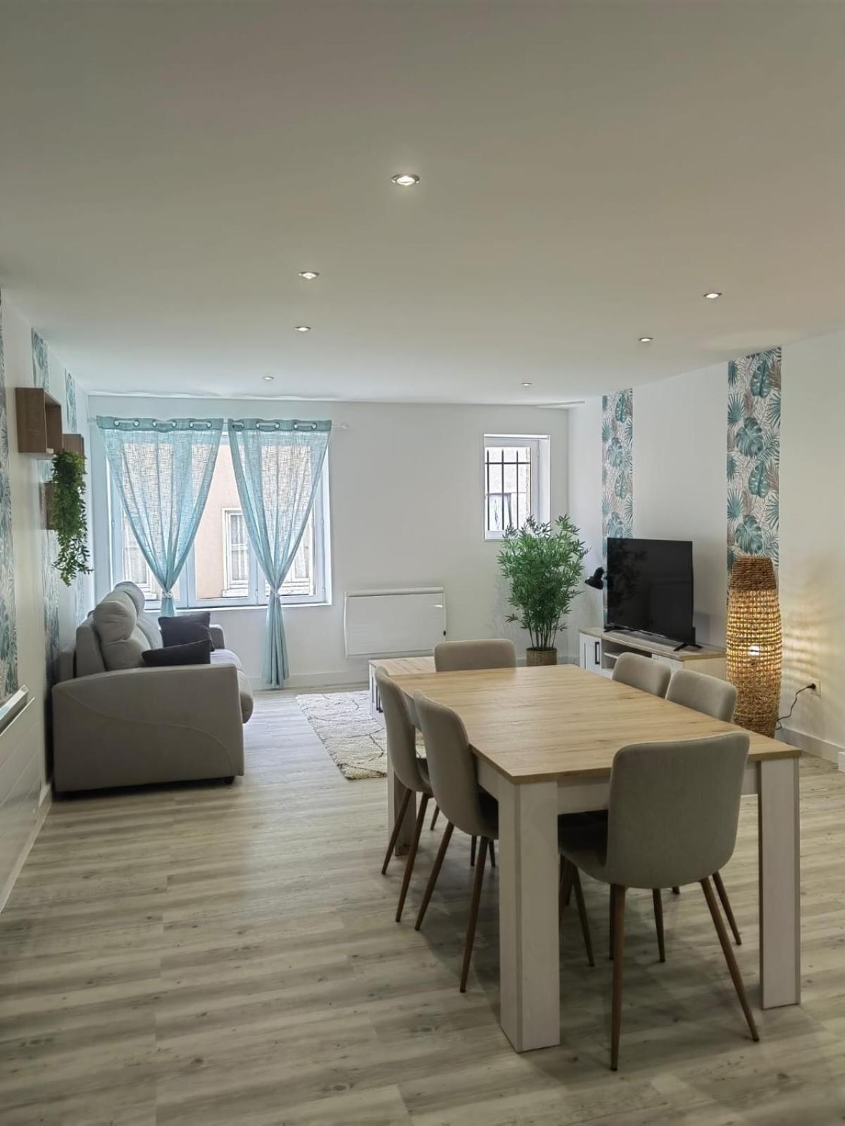 Bel Appartement Bord Du Rhone Valence  Ngoại thất bức ảnh